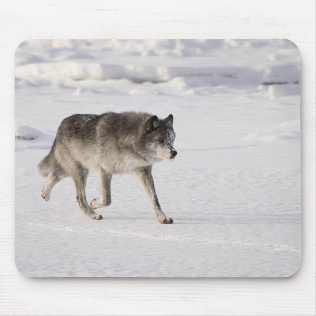 Wolf running in the snow mouse pad (Front)