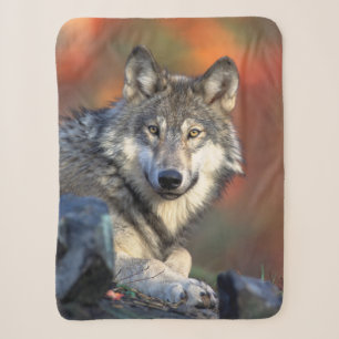 Wolf Sherpa Blanket