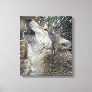 Wolf Song - Pastel Canvas Print