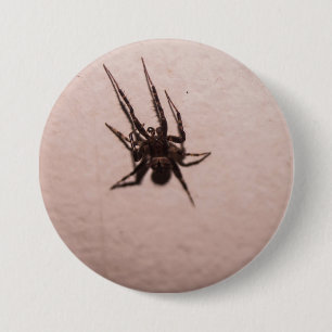 Wolf Spider 3 Inch Round Button