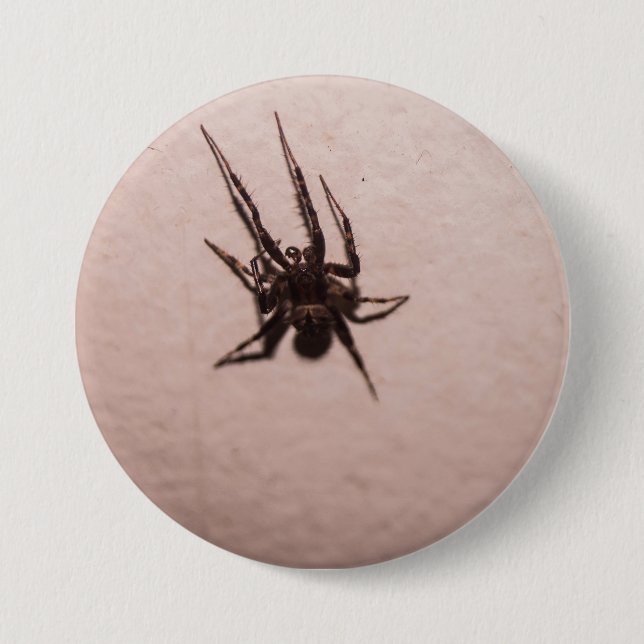 Wolf Spider 3 Inch Round Button (Front)