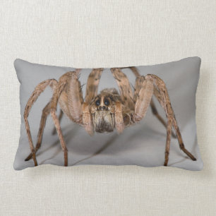 Wolf Spider Lumbar Pillow