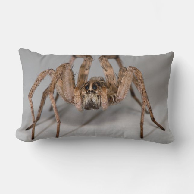 Wolf Spider Lumbar Pillow (Front)