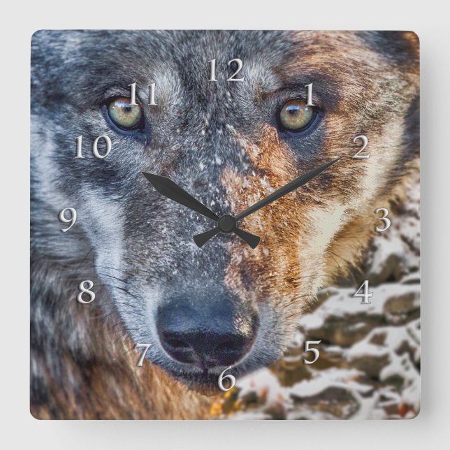 WOLF STAND YOUR GROUND SQUARE WALL CLOCK (Front)