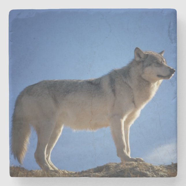 Wolf Stone Coaster (Front)