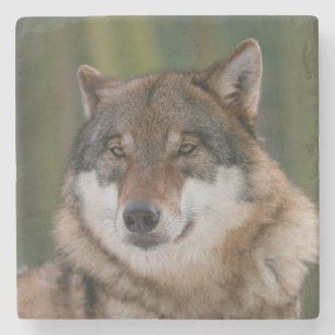 Wolf Stone Coaster