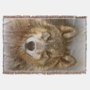 Wolf Throw Blanket