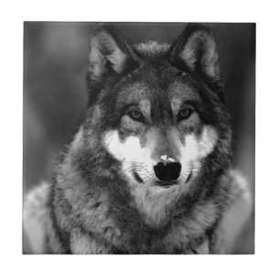 Wolf Tile