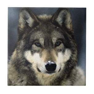 Wolf Tile