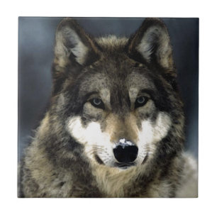 Wolf Tile