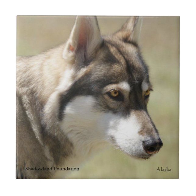 Wolf Tile (Front)