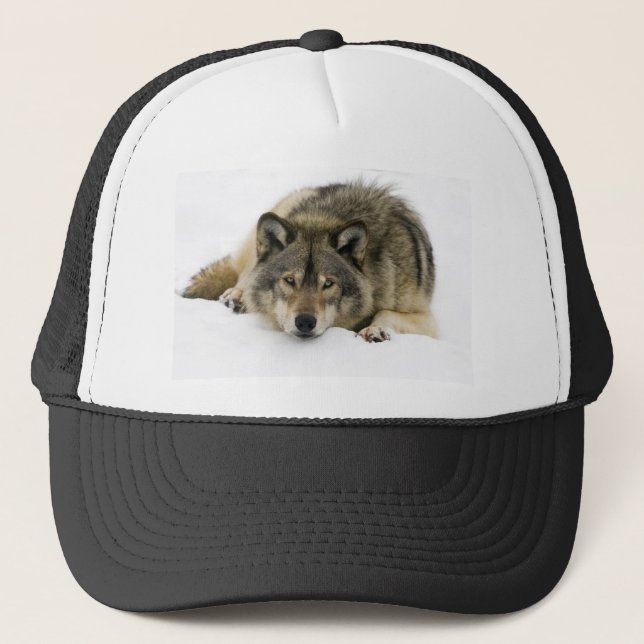 Wolf Trucker Hat (Front)