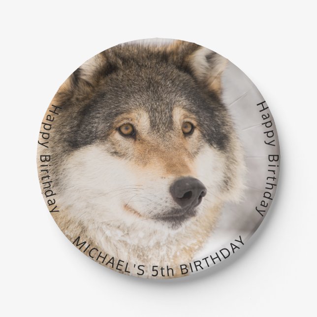 Wolf wild animal 5th birthday party boy paper plate (Front)