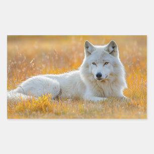 Wolf Wild Animal Loving Portrait Sticker