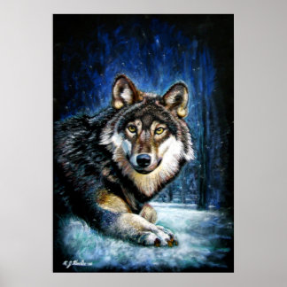 Wolf Wildlife print poster