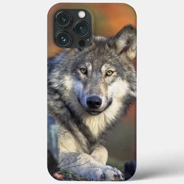 Wolf Wisdom iPhone / coque ipad (Verso)