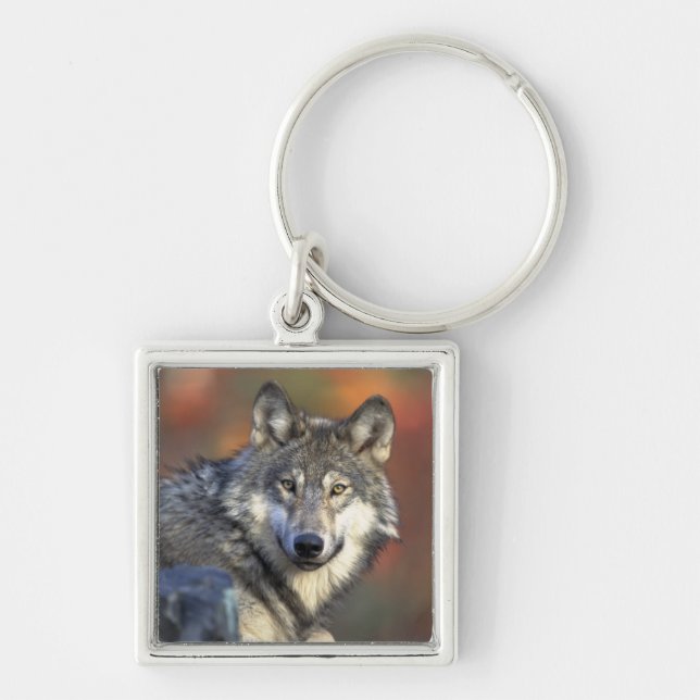 Wolf Wisdom Keychain (Front)