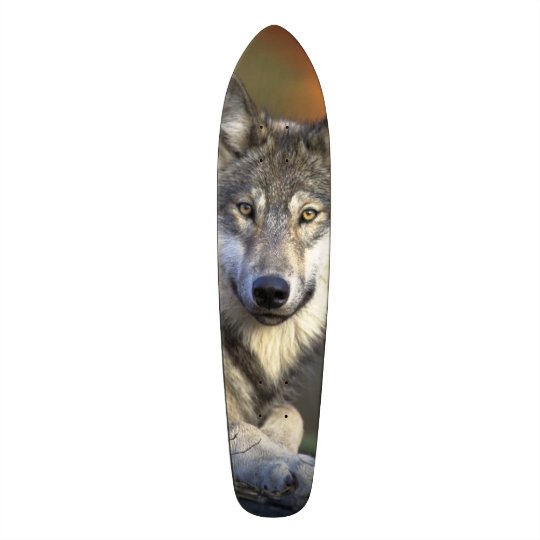 Wolf Wisdom Skateboard