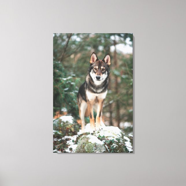 Wolfdog Canvas Print (Front)
