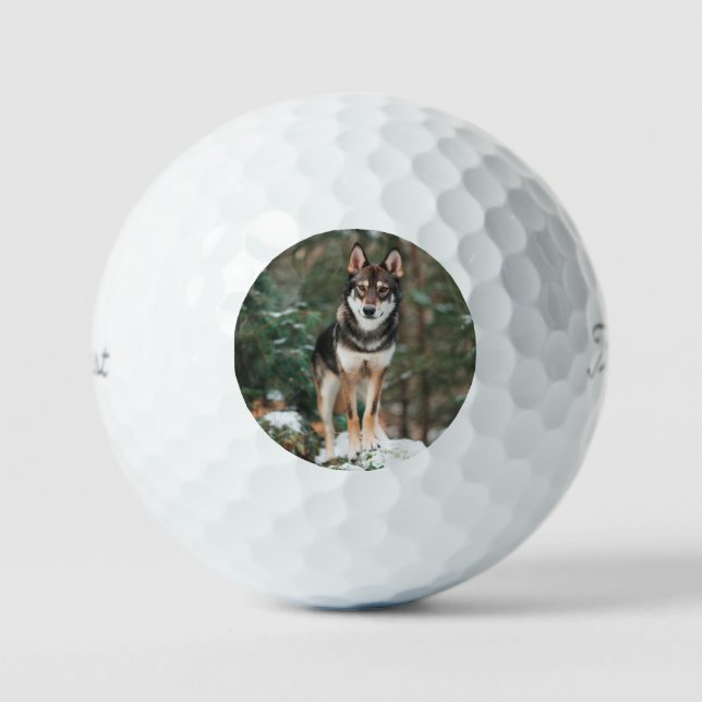 Wolfdog Golf Balls (Front)