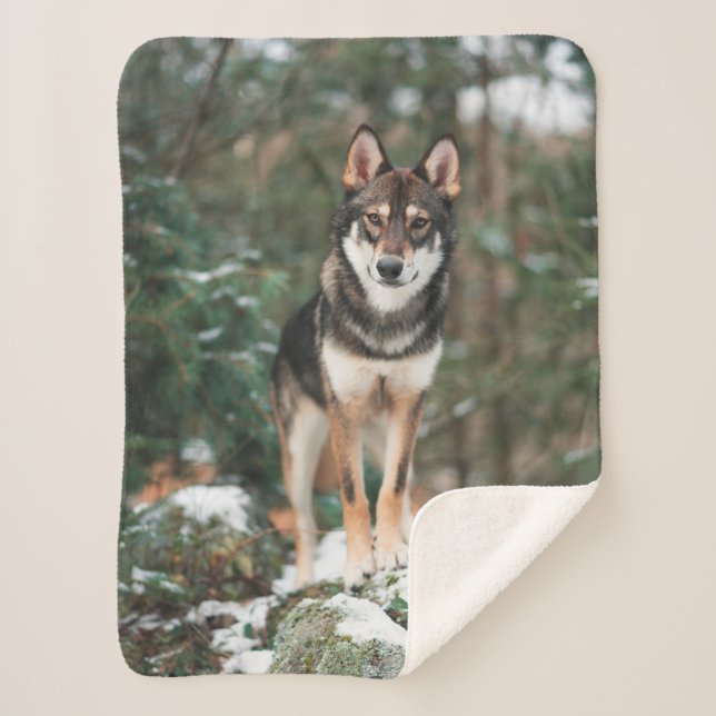 Wolfdog Sherpa Blanket (Front)