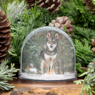 Wolfdog Snowglobe