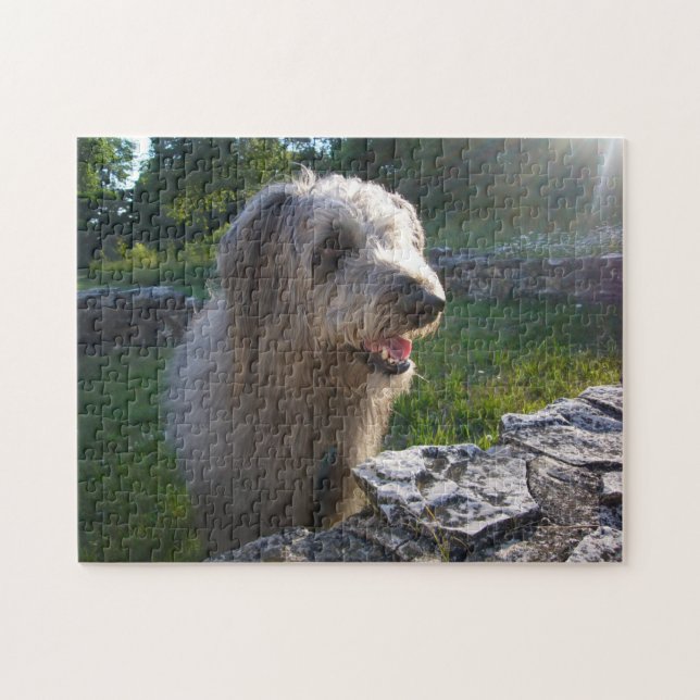 Wolfound Poodle Mix in Sunlit Pasture Jigsaw Puzzle (Horizontal)
