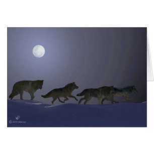 Wolfpack