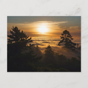 Wolkenmeer mit Sonnenuntergang Postcard