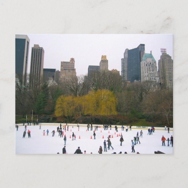 Wollman Rink NYC Skating Rink Central Park Photo Postcard (Front)