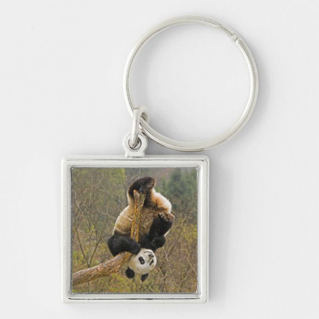 Wolong Panda Reserve, China, 2 1/2 yr old Keychain (Front)