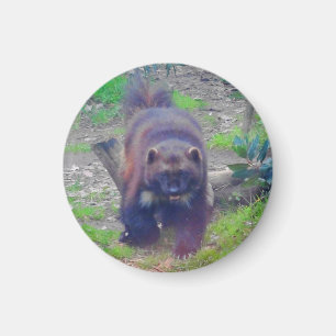 Wolverine #1 Magnet