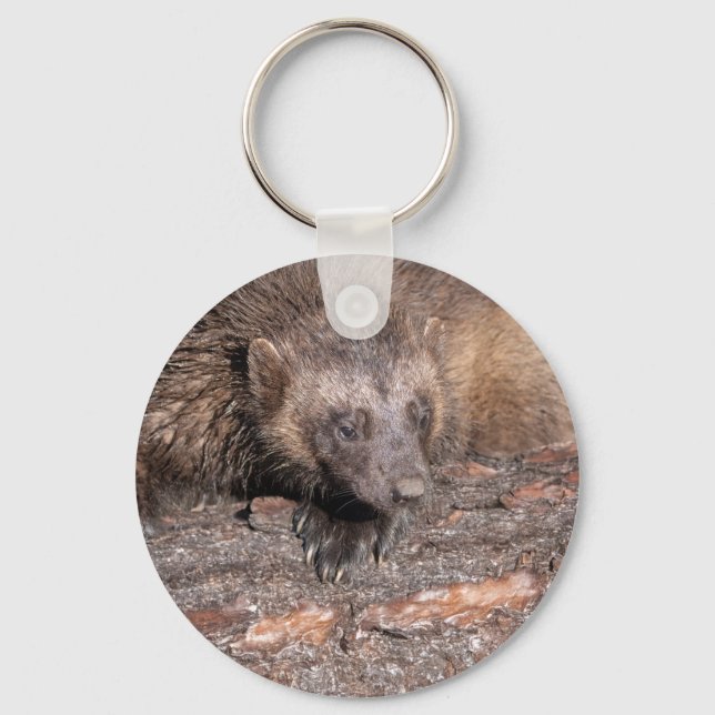 Wolverine Close Encounter Keychain (Front)
