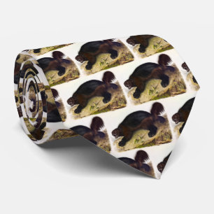 Wolverine or Wolverene (Gulo gulo) by Audubon Tie