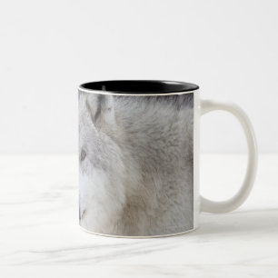 Wolves (Canus lupus) from West Yellowstone. This Two-Tone Coffee Mug