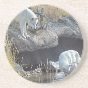 Wolves Forest Nature Country Peace Love Animal Coaster