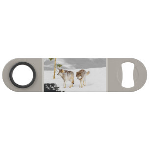 Wolves in Snow Painting - Original Wildlife Art Bar Key