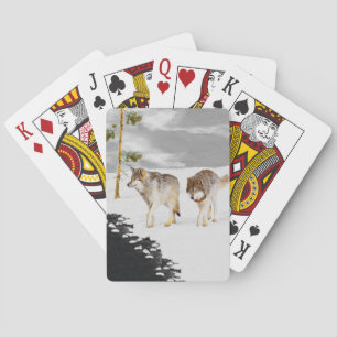 Wolves in Snow Painting - Original Wildlife Art Playing Cards