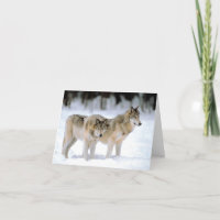 Wolves  in the wilderness card