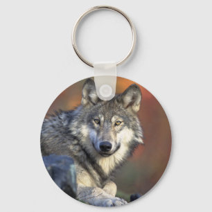 Wolves Keychain