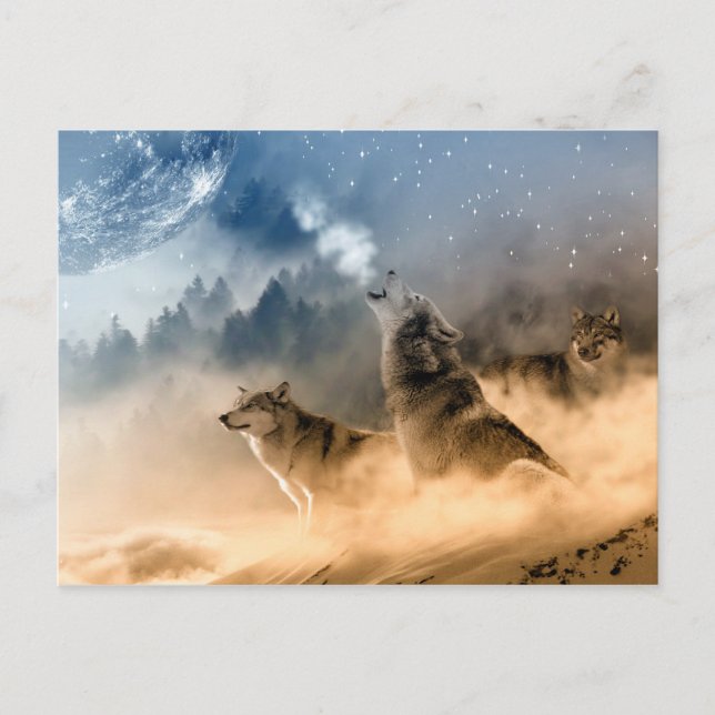 Wolves Moon Fog Nature Scenery Postcard (Front)