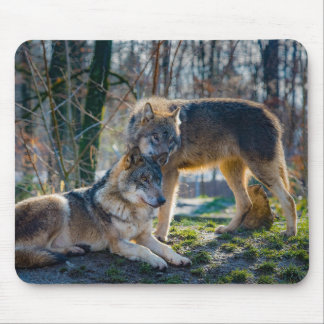 Wolves  mouse pad