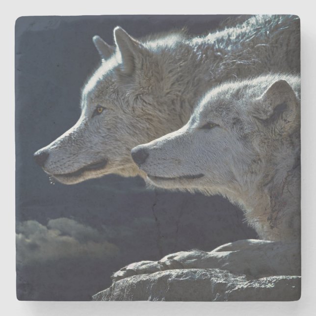Wolves Stone Coaster (Front)
