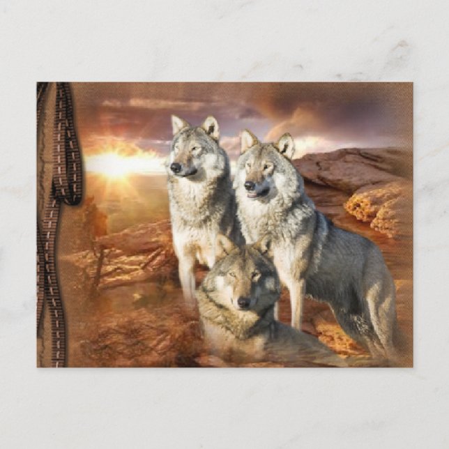 Wolves Trio Postcard (Front)