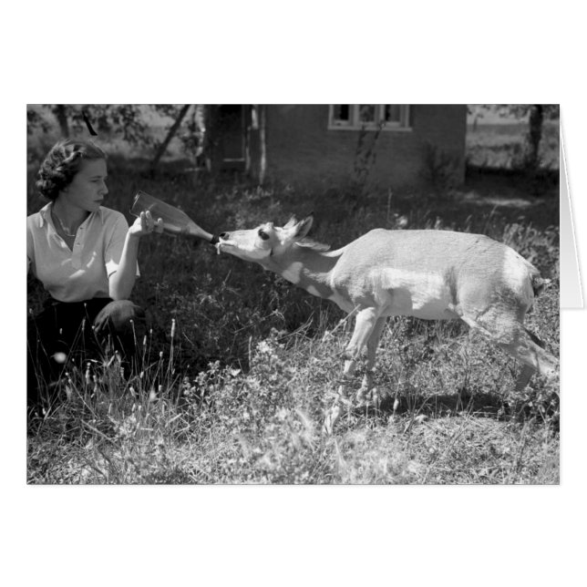 Woman bottle feeding an antelope (Front Horizontal)