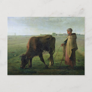Woman Grazing her Cow, 1858 Postcard