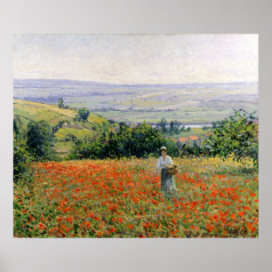 Woman in a Poppy Field Poster