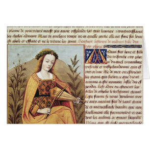 Woman playing a viol