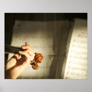 Woman Playing Violin Poster