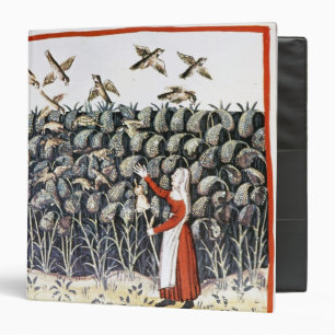 Woman Protecting her Crop of Millet Binder